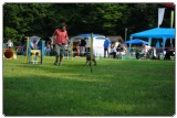 Agility 2011 - KD Slovenska Bistrica DSC 0500