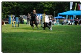 Agility 2011 - KD Slovenska Bistrica DSC 0522