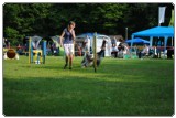 Agility 2011 - KD Slovenska Bistrica DSC 0528