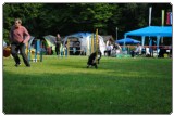 Agility 2011 - KD Slovenska Bistrica DSC 0533