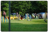Agility 2011 - KD Slovenska Bistrica DSC 0535 Agility 2011 - KD Slovenska Bistrica DSC 0535