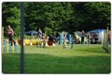 Agility 2011 - KD Slovenska Bistrica DSC 0535