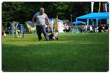 Agility 2011 - KD Slovenska Bistrica DSC 0541