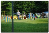 Agility 2011 - KD Slovenska Bistrica DSC 0543 Agility 2011 - KD Slovenska Bistrica DSC 0543