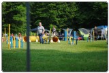 Agility 2011 - KD Slovenska Bistrica DSC 0543