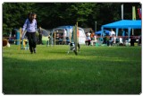 Agility 2011 - KD Slovenska Bistrica DSC 0549