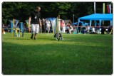 Agility 2011 - KD Slovenska Bistrica DSC 0562