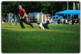 Agility 2011 - KD Slovenska Bistrica DSC 0572