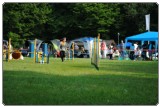 Agility 2011 - KD Slovenska Bistrica DSC 0575