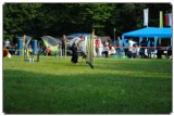 Agility 2011 - KD Slovenska Bistrica DSC 0576