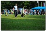 Agility 2011 - KD Slovenska Bistrica DSC 0591