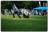 Agility 2011 - KD Slovenska Bistrica DSC 0592