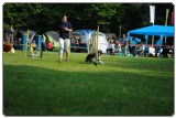 Agility 2011 - KD Slovenska Bistrica DSC 0598