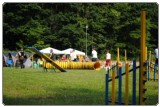 Agility 2011 - KD Slovenska Bistrica DSC 0637