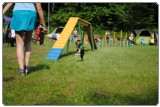 Agility 2011 - KD Slovenska Bistrica DSC 0680