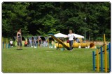 Agility 2011 - KD Slovenska Bistrica DSC 0697