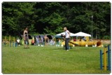 Agility 2011 - KD Slovenska Bistrica DSC 0699