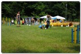 Agility 2011 - KD Slovenska Bistrica DSC 0702