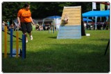 Agility 2011 - KD Slovenska Bistrica DSC 0706 Agility 2011 - KD Slovenska Bistrica DSC 0706