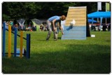 Agility 2011 - KD Slovenska Bistrica DSC 0708