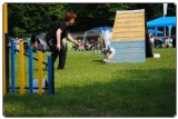 Agility 2011 - KD Slovenska Bistrica DSC 0710