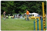 Agility 2011 - KD Slovenska Bistrica DSC 0712