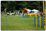 Agility 2011 - KD Slovenska Bistrica DSC 0713