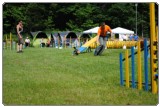 Agility 2011 - KD Slovenska Bistrica DSC 0714