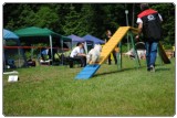 Agility 2011 - KD Slovenska Bistrica DSC 0725