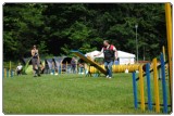 Agility 2011 - KD Slovenska Bistrica DSC 0727 Agility 2011 - KD Slovenska Bistrica DSC 0727