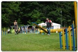 Agility 2011 - KD Slovenska Bistrica DSC 0727