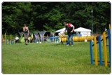 Agility 2011 - KD Slovenska Bistrica DSC 0729