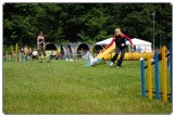 Agility 2011 - KD Slovenska Bistrica DSC 0749