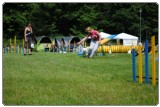 Agility 2011 - KD Slovenska Bistrica DSC 0768 Agility 2011 - KD Slovenska Bistrica DSC 0768