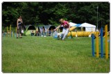 Agility 2011 - KD Slovenska Bistrica DSC 0768