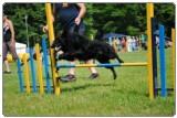 Agility 2011 - KD Slovenska Bistrica DSC 0778