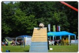 Agility 2011 - KD Slovenska Bistrica DSC 0779