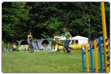 Agility 2011 - KD Slovenska Bistrica DSC 0782