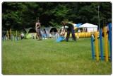 Agility 2011 - KD Slovenska Bistrica DSC 0785 Agility 2011 - KD Slovenska Bistrica DSC 0785
