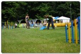 Agility 2011 - KD Slovenska Bistrica DSC 0785