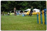 Agility 2011 - KD Slovenska Bistrica DSC 0786