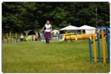 Agility 2011 - KD Slovenska Bistrica DSC 0801