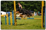 Agility 2011 - KD Slovenska Bistrica DSC 0806 Agility 2011 - KD Slovenska Bistrica DSC 0806