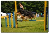 Agility 2011 - KD Slovenska Bistrica DSC 0806