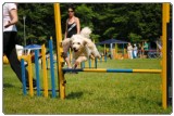 Agility 2011 - KD Slovenska Bistrica DSC 0810