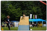 Agility 2011 - KD Slovenska Bistrica DSC 0814