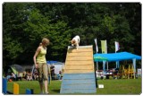 Agility 2011 - KD Slovenska Bistrica DSC 0826