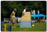 Agility 2011 - KD Slovenska Bistrica DSC 0827