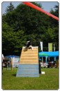 Agility 2011 - KD Slovenska Bistrica DSC 0835 Agility 2011 - KD Slovenska Bistrica DSC 0835