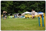 Agility 2011 - KD Slovenska Bistrica DSC 0839